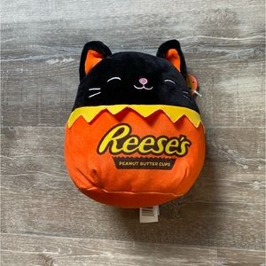 8” colton the cat squishmallow